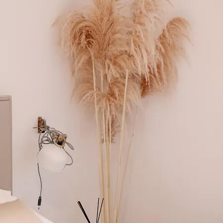 In Apartment Split